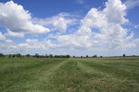 The view from 1500 Yards (unzoomed)